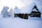 温州今年会下雪吗 温州视线天气预报2014年2月9日温州