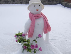 温州下大雪了！温州的天气多年没有见到大雪！