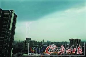 龙津中路一棵大树被狂风刮倒，压在出租车上。