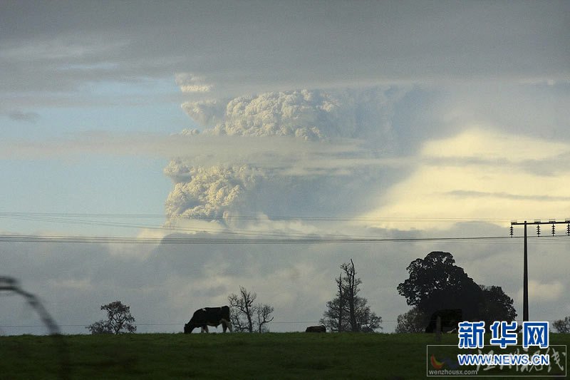 智利普耶韦火山喷发 浓烟、火山灰殃及邻国