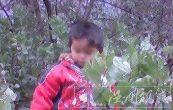 年仅3岁的王家红也没能幸免（资料图片）。来源：生活新报