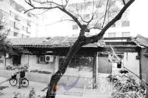北总布胡同24号院原是一座两进小四合院，1931年至1937年，梁思成、林徽因夫妇在此租住(当时的门牌是3号)。图片来源：人民政协报