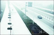 山东大雾天气锁住多条高速路 积雪使多车连撞连发