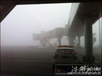 山东大雾降雪天气影响交通 济南机场80多个航班推迟
