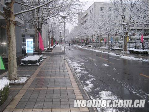气象日开放前夕，为迎接社会公众前来参观，中国气象局提前部署，道路两旁彩旗飘扬。
