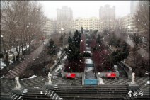 哈尔滨雪花啤酒怎么来的 原来哈尔滨天气3月24日还有