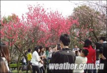 重庆天气晴朗气温回升 好天气好心情升温重庆市民扎