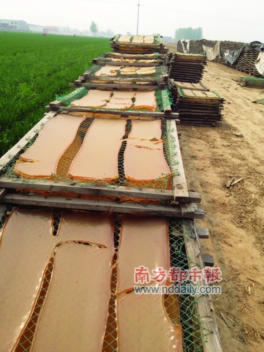 大片麦地被当地小作坊晾晒工业明胶的木架占据。