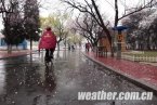 4月21日辽宁天气全省普降春雨 辽东半岛南部雨量最大