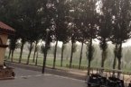 6月9日北京天气预报 今天北京天气傍晚雷阵雨伴有冰