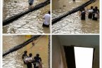 温州平阳水头满大水 7月27日平阳暴雨导致平阳水头满