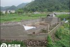 台风?？碜哒憬?7.95亿元 台风?？拐憬鹗Р抑? class=