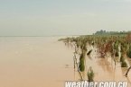 宁夏地区将有明显降水 黄河防汛压力将大增