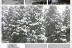 新疆开始下雪了 新疆乌鲁木齐气温狂降17℃那叫一个