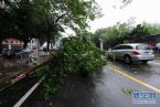 海南台风山神 台风山神对海南影响多地现强风暴雨
