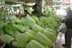 北方大范围雨雪降温 上海天气没有受影响部分蔬菜价