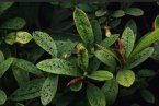杭州森林公园下煤雨 天堂有人生火做饭