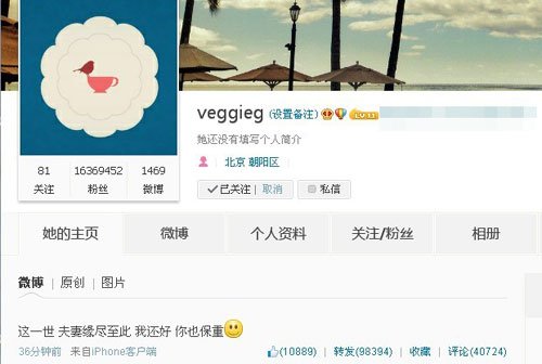 9月13日晚王菲发微博称夫妻缘尽，疑似王菲和李亚鹏离婚