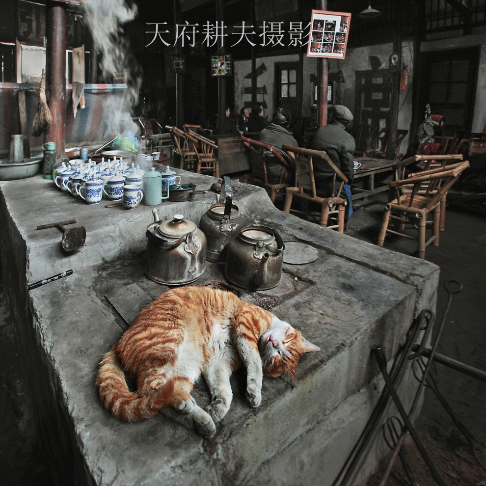 23届国展优秀奖，中国摄影家协会举办的首届国际网络大赛铜奖《冬日茶馆》