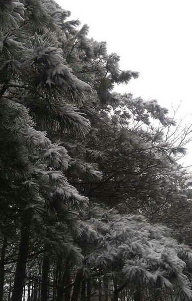 浙江下雪了，2013年冬季浙江湖州安吉第一场雪