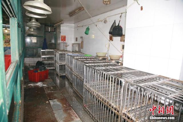 浙江感染h7n9病例2014年已有12人死亡，发现浙江h7n9人传人病例