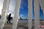 美国极寒天气图片 美国极寒天气多少度才零下20多度