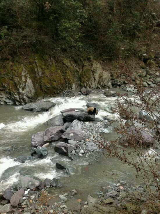 黑水河自然?；で⑾忠吧笮苊? width=