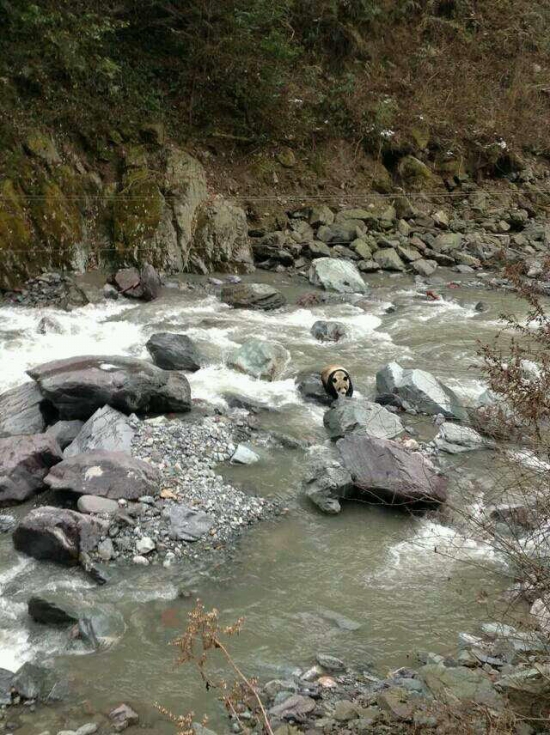 黑水河自然?；で⑾忠吧笮苊? width=