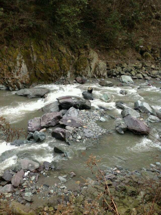 黑水河自然?；で⑾忠吧笮苊? width=