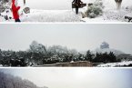 杭州下雪了吗 2月9日杭州城区下起2014年第一场雪