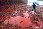 汝阳马兰河河水变血水 是染料厂废料池子水溢出导致