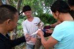 活剥小猫事件 温州江心屿景区多名外地人活剥小猫