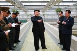 金正恩视察罕见动怒 就为甲鱼养殖场没有养虾动怒