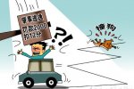 撞狗逃离被扣12分 男子撞狗后逃离被扣12分