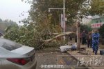 邯郸发生车祸 11日上午邯郸河北工程大学东门车祸