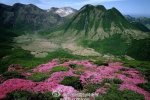 地震科普知识 我国每天有地震灾害地震极少