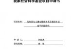 求婚项目申请书成功通过