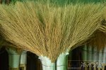 永嘉扫帚批发零售 环卫竹扫帚批发温州传统工艺扫把