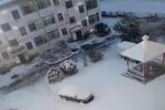 呼伦贝尔下雪了