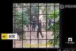 亚洲熊出逃48小时未找到 现实版熊出没