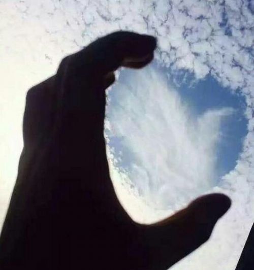 爱心云虐网友一脸