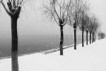 河南浓雾暴雪 春运受影响