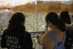 雷峰塔变金银岛 游客祈福扔硬币