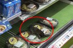 便利店老鼠蹲盒饭 上海全家便利店