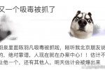 陈羽凡回应吸毒被抓传闻
