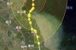 上海迪士尼暂?？?利奇马台风已过去了