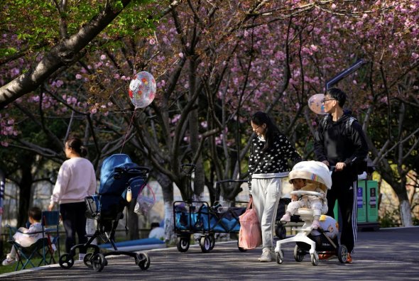 2023年4月2日，上海的一个公园里，一对父母推着婴儿车。