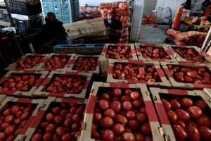 美国对墨西哥新鲜番茄征收17%关税