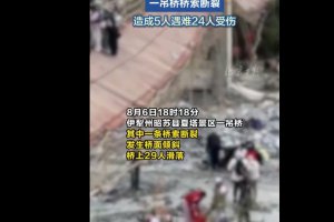 新疆一景区吊桥桥索断裂致5死24伤