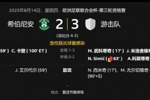 欧足联联合会杯希伯尼安2-3游击队